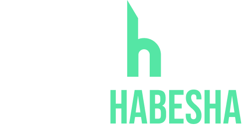 Digital Habesha logo white